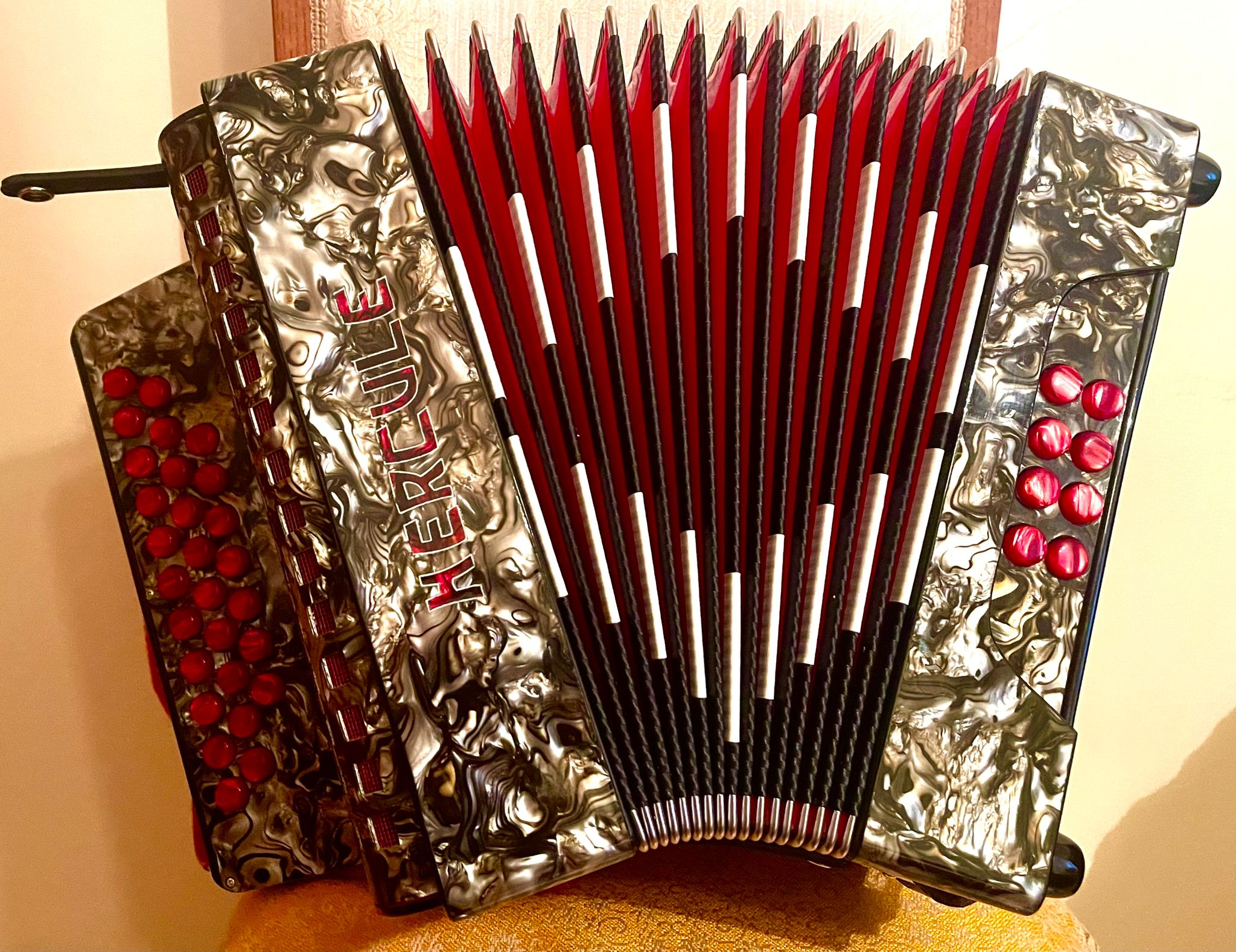 Veja a tocar Concertinas Caniço